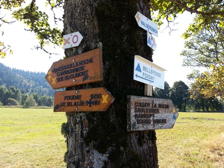 Balade prs de la Ferme auberge du Ban de la Roche